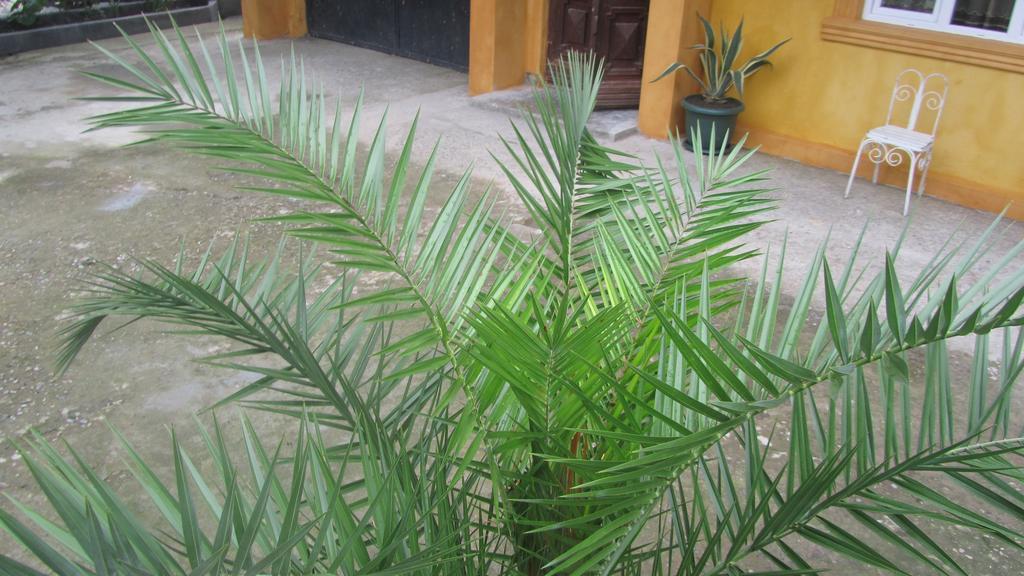 Suliko Guest House Batumi Bagian luar foto